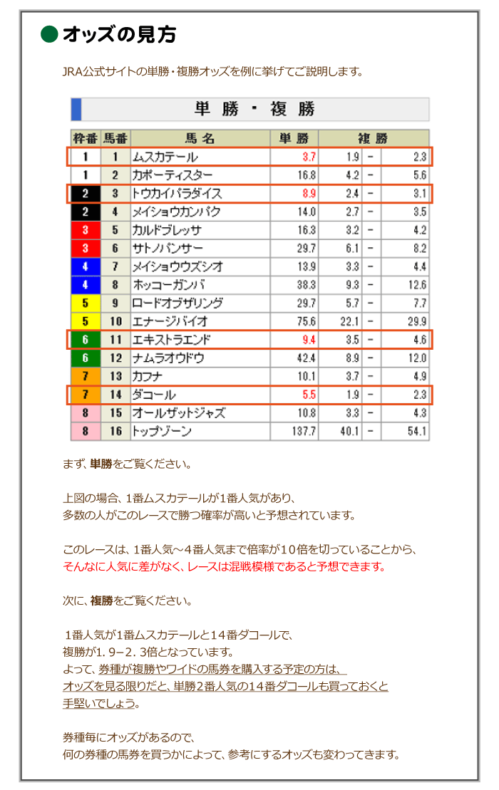 オッズの見方