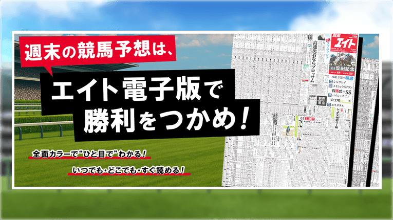 ポイント購入制のエイト電子版