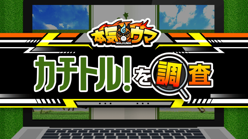 カチトルを調査