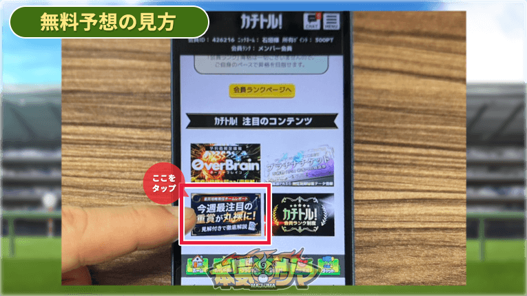 カチトルの無料予想の見方