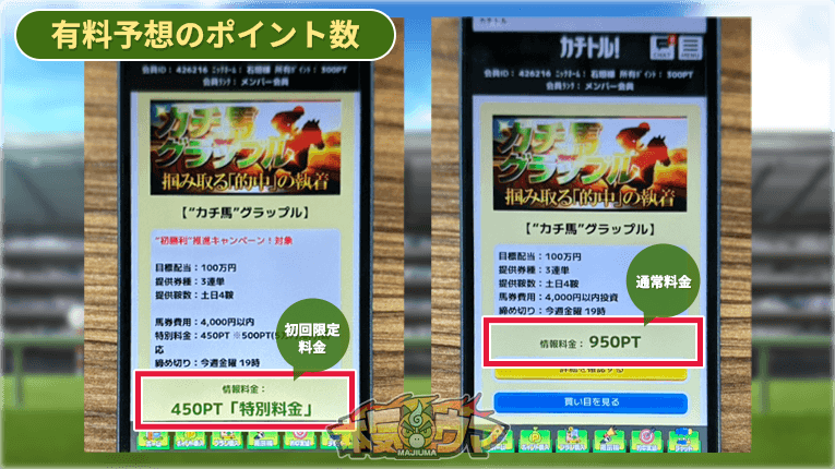 有料予想のガチ馬グラップル