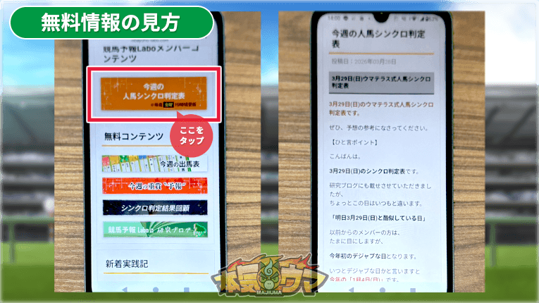 今週の人馬シンクロ判定表