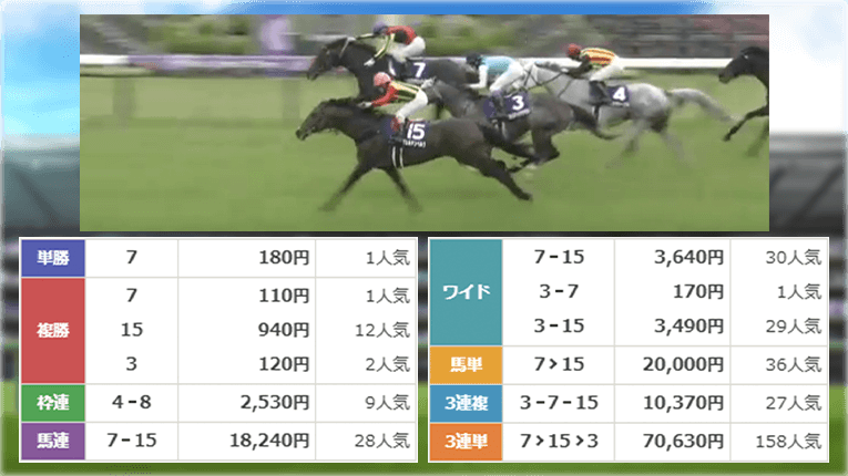 京都11Rのレース結果