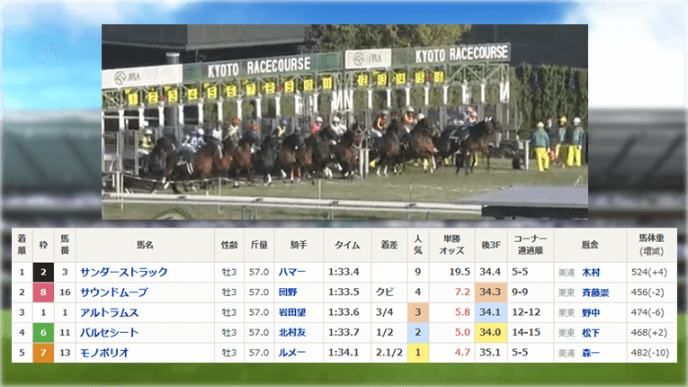 京都11Rのレース結果