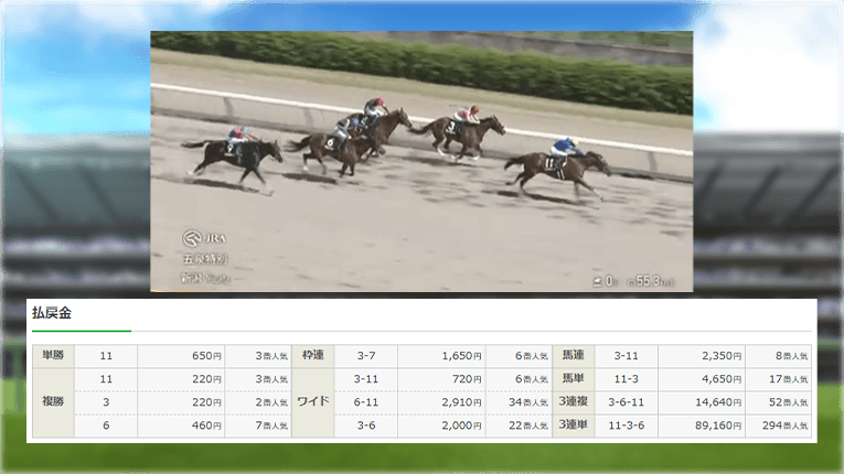新潟10Rのレース結果