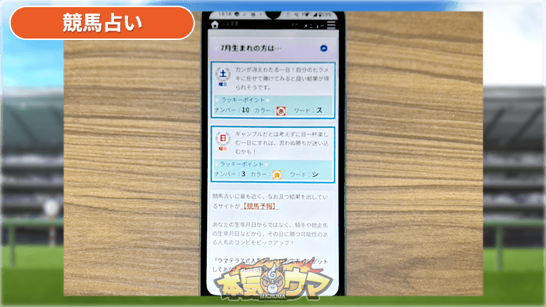 競馬占いの結果