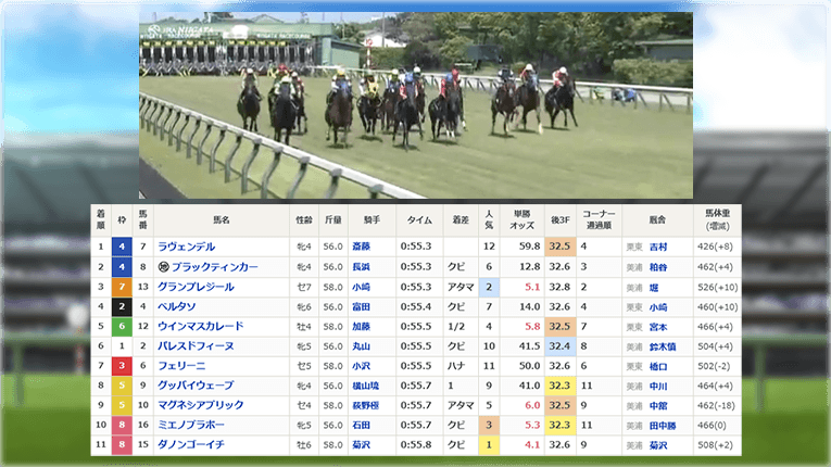 新潟9Rのレース結果