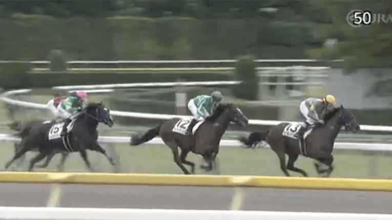 東京4Rのゴール前の様子