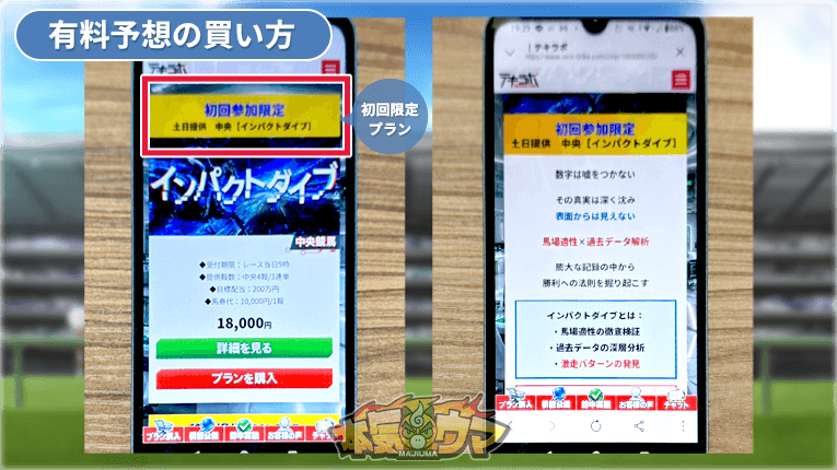 テキラボの有料予想インパクトダイブ