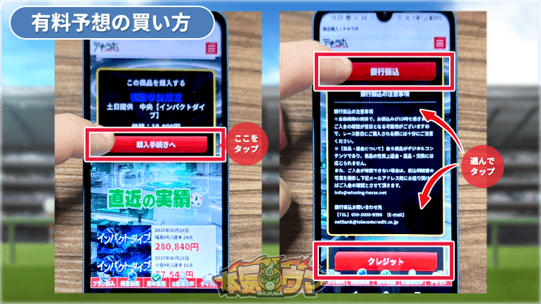 テキラボの有料予想の購入画面