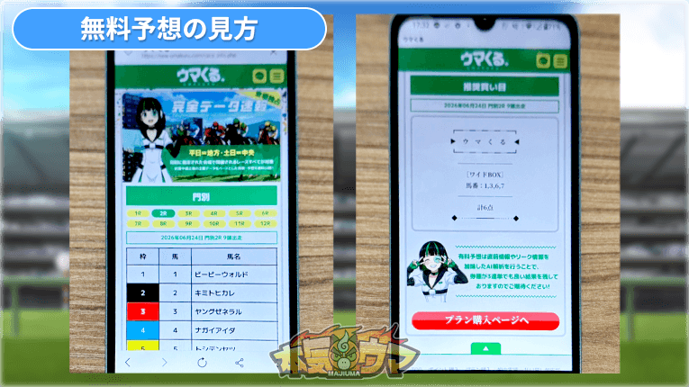 ウマくるの無料予想の内容