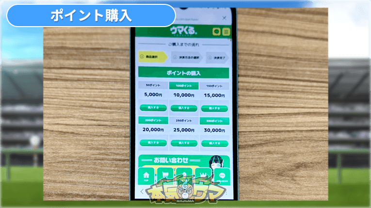 ポイント購入画面