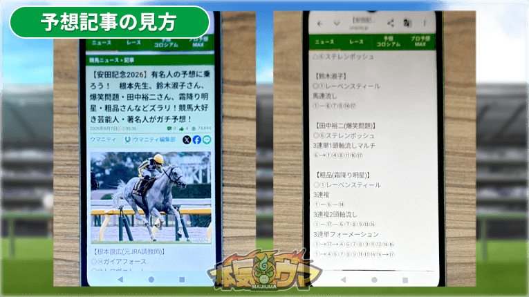芸能人予想記事の内容