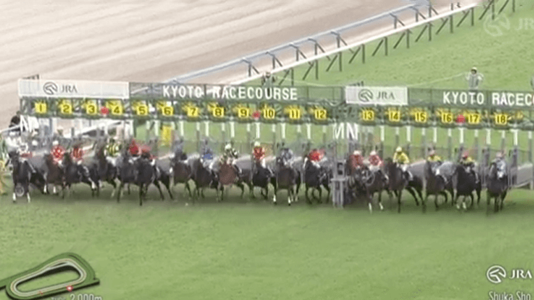 対象レースの出走場面