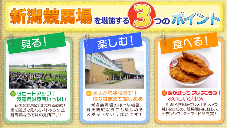 堪能するための3つのポイント